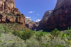 20210428ZionNP_D1021.jpg